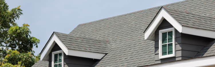 shingle repair